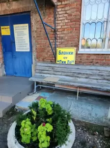 Фотография ГинГо 1