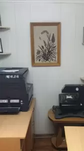 Фотография Фотоателье 0