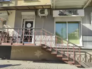 Фотография Хамелеон принт 3